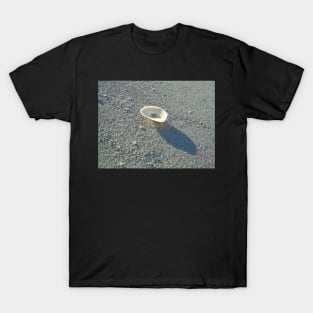 Shell T-Shirt